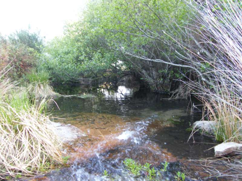 Quedas de agua...JPG